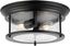 Black Glass Drum 2-Light LED Flush Mount