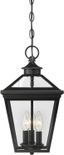 Ellijay Black and Clear Glass 3-Light Outdoor Hanging Lantern