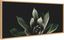 18x40 Framed Dark Botanical Canvas Wall Art