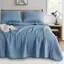 Silver Lake Blue Twin Reversible Microfiber Quilt Set