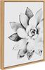 Modern Succulent Black and White Canvas Print with Natural Frame