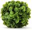 Small Green Plastic Topiary Ball for Indoor/Outdoor Decor