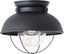 Sebring Black Outdoor Flush Mount with Clear Seeded Glass