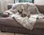 Light Gray Faux Fur Waterproof Pet Blanket, 60" x 50"