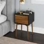 Mid-Century Modern Harper 2-Drawer Side Table in Black and Brown