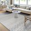 Gray Square Synthetic Easy-Care Stain-Resistant Area Rug