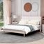 Beige Velvet Queen Upholstered Platform Bed with Tufted Headboard