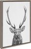 Black and White Forest Deer Canvas Wall Art, 18x24