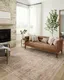 Blake Oatmeal and Spice Distressed 5'-3" x 7'-6" Area Rug