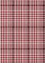 Red Plaid Synthetic Washable Indoor Outdoor Rug 3' x 5'