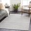 Aarau Silver Gray and White Bohemian Area Rug