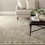 Buckwheat Beige Hand-Knotted Wool and Viscose Area Rug