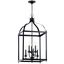 Larkin 18" Black Steel Cage 6-Light Modern Chandelier