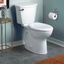 Cadet 3 Bone High Efficiency Elongated Free Standing Toilet