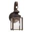 Antique Bronze Clear Glass Outdoor Wall Lantern Sconce