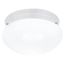 White Smooth Glass 2-Light Indoor/Outdoor Flush Mount Ceiling Fixture