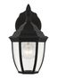 Bakersville 11'' Black Steel Outdoor Lantern Sconce with Clear Beveled Glass