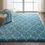 Amore Aqua 5' x 7' Rectangular Shag Area Rug