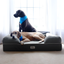 Slate Gray Medium Orthopedic Memory Foam Dog Bed