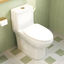 Ally White and Gold Ceramic Dual Flush Elongated Toilet