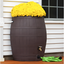 Brown 50-Gallon Plastic Rain Barrel with Diverter Kit