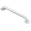 Stainless Steel 12-Inch Wall Mount Grab Bar