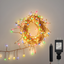 Electric Multicolor LED Fairy String Lights with Smooth Bulbs