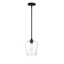 Octave Contemporary Black Mini Pendant with Clear Glass Shade