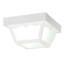 White Frosted Glass 8.5" Outdoor Flush Mount Light