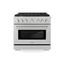 ZLINE 36" Stainless Steel Gas Range with Brass Burners and Convection Oven