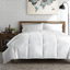 Oversized White Cotton Queen Down Alternative Comforter