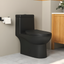 Matte Black Dual-Flush Elongated One-Piece Toilet with Comfort Seat