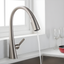 Spot Free Stainless Steel Pull-Down Kitchen Faucet with Spray