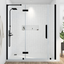 Tampa 58'' W x 72'' H Black Frameless Glass Shower Kit