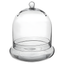 Large Clear Glass Terrarium Cloche with Air Holes