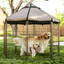 Brown Metal Pet Gazebo with Reversible Canopy Cover