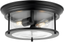 Black Glass Drum 2-Light LED Flush Mount