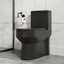 Matte Black Elongated Dual Flush High Efficiency Toilet