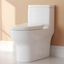 White Ceramic Elongated Dual Flush One-Piece Toilet