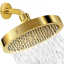 Gold Adjustable High-Pressure Rain Shower Head with Filter