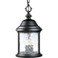 Ashmore Textured Black 3-Light Outdoor Hanging Lantern with Water Seeded Glass