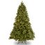 White Douglas Fir Outdoor Christmas Tree with Lights