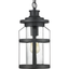 Haslett Black Textured Glass Outdoor Hanging Lantern