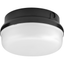 Black and White Round LED Indoor/Outdoor Flush Mount Light