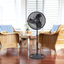 Lasko 16" Black Adjustable Height Oscillating Floor Fan