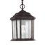 Oxford Bronze Clear Seeded Glass Outdoor Pendant Light