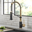 Brushed Brass and Matte Black Pull-Down Kitchen Faucet