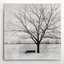 Lonely Tree Black and White Framed Canvas Print