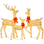 Gold Lighted Christmas Deer Family Set with LED Lights