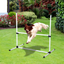 White Adjustable Height Dog Agility Jump Bar Set